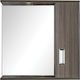 Gloria Fino I Rectangular Bathroom Mirror Led made of Plastic with Shelf & Cabinet 62x55cm Wenge