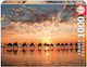 Golden Sunset auf Cable Beach Puzzle 2D 1000 Teile