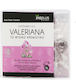 Ino Plus Valeriana 50gr Πορτοκάλι