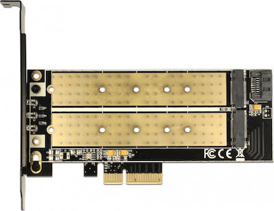 DeLock Card de control PCIe cu 2 porturi M.2