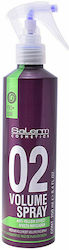 Salerm Hairspray 250ml Salerm Hairspray 250ml