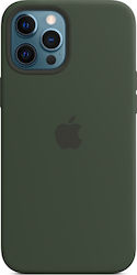 Apple Husă Silicon Verde Compatibil Cu Magsafe ...