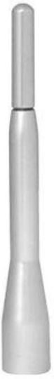 Auto Gs Car Antenna Roof Sport Threaded 10cm Silver for Radio in Silver Color