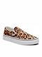 Leopard Classic Women's Canvas Slip-Ons Black/True White