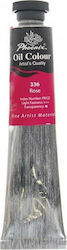 Phoenix Arts Oil Colour Seturi de Culori Ulei R...