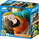 Kids Puzzle Parrot for 3+ years+ Years 48pcs Prime3D