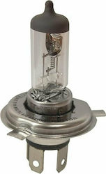 Hella Lamp H4 Halogen