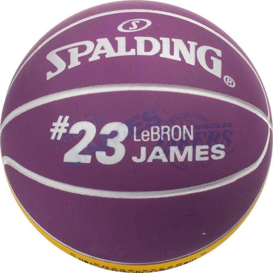 spalding lebron james