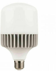 Eurolamp LED Lampen für Fassung E27 und Form T160 Naturweiß 5000lm 1Stück