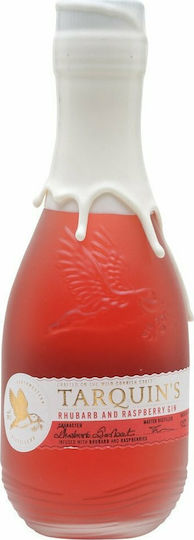 Gin Rhubarb & Rasberry 38% 700ml