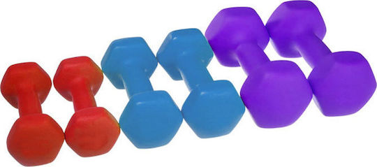 Timeless Tools Satz Hanteln Sechseck 6 Stück Gesamtgewicht 10kg
