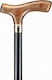 Alfa Care Gehstock Schwarz AC-836