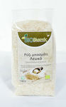 Βιοβλαστός Organic Basmati Rice 500gr