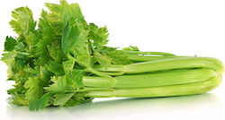 Celery Leaf Seed Valdarno 3.5 gr