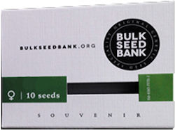 Bulk Seed Bank | 10 Auto Seeds