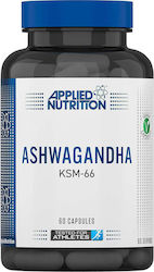 Applied Nutrition Ashwagandha KSM-66 +Astragin 60 Kapseln Applied Nutrition Ashwagandha KSM-66 +Astragin 60 Kapseln