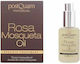 PostQuam Professional Rosa Mosqueta Gesichtsöl mit Vitamin E für Nährend , Feuchtigkeitsspendend und Anti-Aging mit Öl Wildrose 30ml