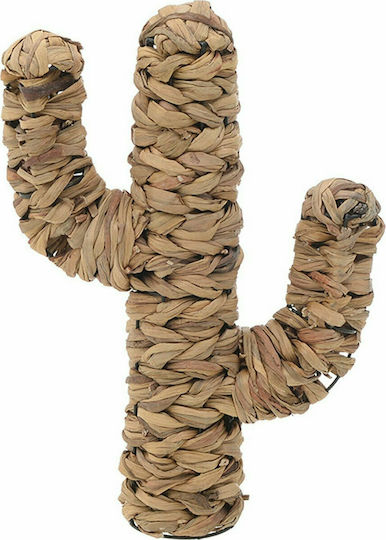 Inart Desktop Decoration Garden Wicker Cactus 31x10x46cm 31cmx10cmx46cm 3-70-823-0236