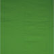 Walimex Cloth Φωτογραφικό Φόντο Υφασμάτινο 285x600εκ. Πράσινο