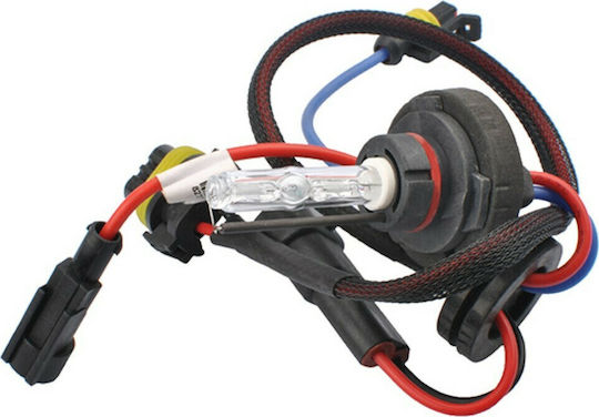 M-Tech Xenon Сет за Осветление HB3-9005 35W 12V 8000К Хладно бяло