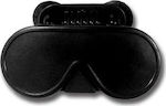 Auto Gs Car Sunglasses Case