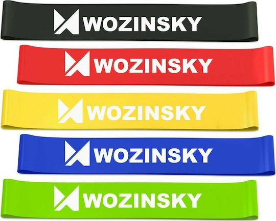 Wozinsky Loop Bands Set 5pcs Multicolored 1.2m