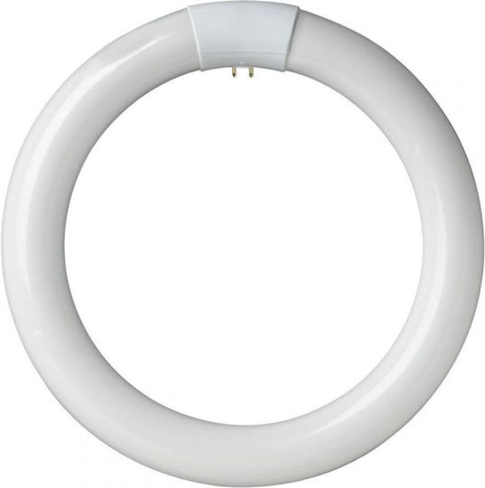 Evivak Λάμπα LED 20W Τύπου Φθορίου 300mm για Ντουί G10Q και Σχήμα T9 Ψυχρό Λευκό 810lm