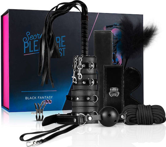 LoveBoxxx Secret Pleasure Chest BDSM Kit in Schwarz Farbe