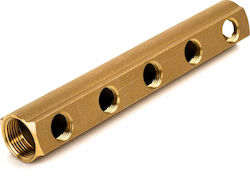 Collector 1" 7 Sockets Brass