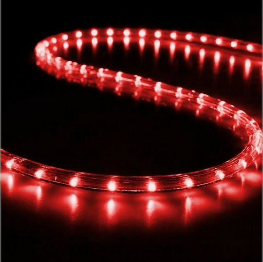 Christmas Light Tube Red 220V 1800 Light Bulbs 50m IP44