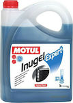 Motul Inugel Expert Αντιψυκτικό Παραφλού Ψυγείου Αυτοκινήτου G11 Μπλε Χρώμα 5lt
