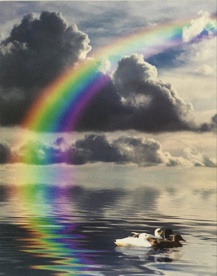 Rolete Geam Mărginit Semi-Blackout "Rainbow" P100xH100cm E385