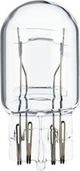 Hella Glass Large Ii 21 Lamp W21/5W