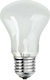 Elinchrom Adjsustment Light 196V 100W Replacement Lamp Daylight 100W