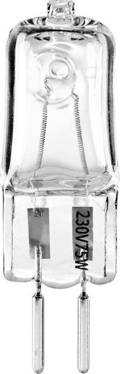 Walimex Modeling Lamp VT-100/150/200/300 Ανταλλακτική Λάμπα 75W