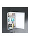 HomCom Rectangular Bathroom Mirror with Cabinet 60x30cm