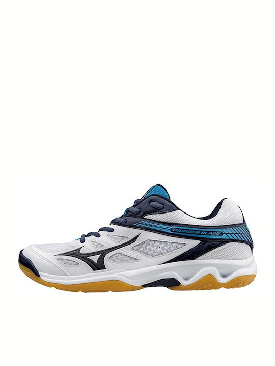 Mizuno