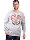 Franklin & Marshall Men's Sweatshirt Gray