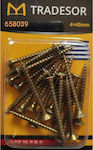 Tradesor Phillips Screw with Diameter M4 and Length 40mm