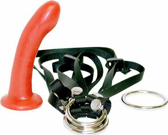 Sportsheets Harness με Dildo 12.7cm σε Μαύρο Χρώμα