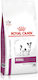 Royal Canin Veterinary Renal Small Dogs 1.5kg Ξηρά Τροφή για Ενήλικους Σκύλους Μικρόσωμων Φυλών με Ρύζι