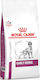 Royal Canin Veterinary Early Renal 14kg Dry Food for Dogs with Corn, Poultry and Rice