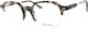 Escape Eyewear Ацетатна Рамка Кафява Костенурка ES1474 C3