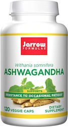 Jarrow Formulas Ashwagandha 300mg 120 φυτικές κάψουλες Jarrow Formulas Ashwagandha 300mg 120 φυτικές κάψουλες