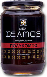 Χελμός Μέλι Πολύκομπου 950gr