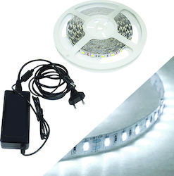 Fos me LED-Streifen 12V mit Kaltweiß Licht 2m Fos me LED-Streifen 12V mit Kaltweiß Licht 2m