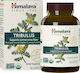 Himalaya Wellness Tribulus 688mg 60 Capsule