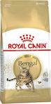 Royal Canin Bengal Adult Trockenfutter für erwachsene Katzen mit empfindlichem Verdauungssystem mit Geflügel 2kg