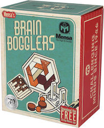 Mensa Brain Bogglers Wooden Riddle for 4+ Years IQ-1021