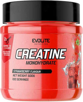 Evolite Creatine Monohydrate Blueberry 500gr